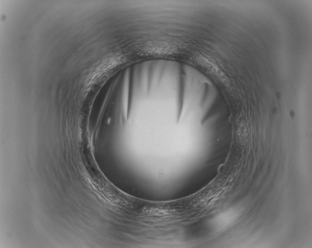 X0000059090635200510211608