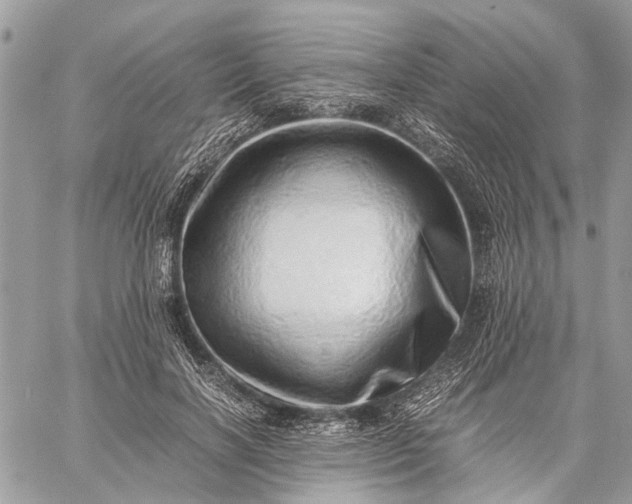 X0000059090646200510211608
