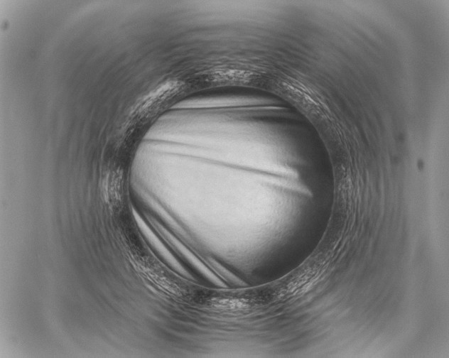 X0000059090649200510211608