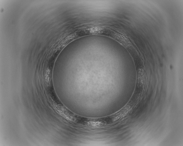 X0000059090650200510211608
