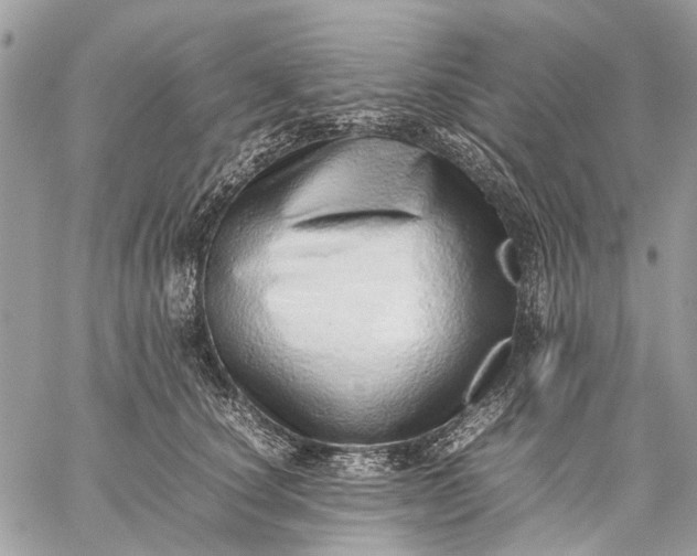 X0000059090660200510211608