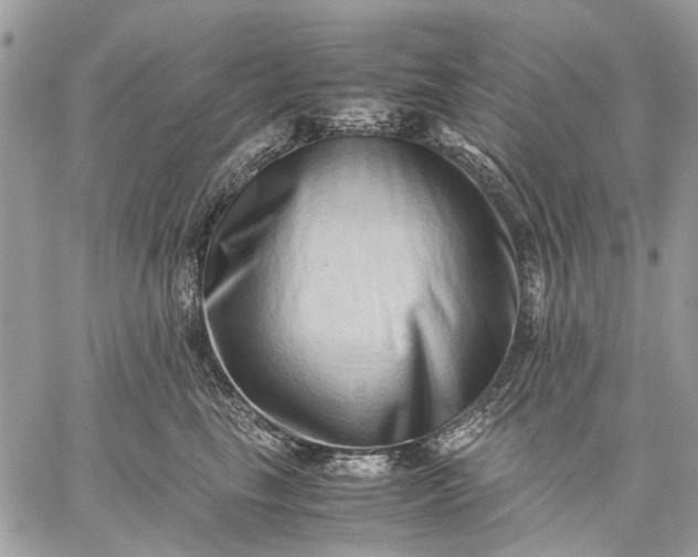 X0000059090665200510211608