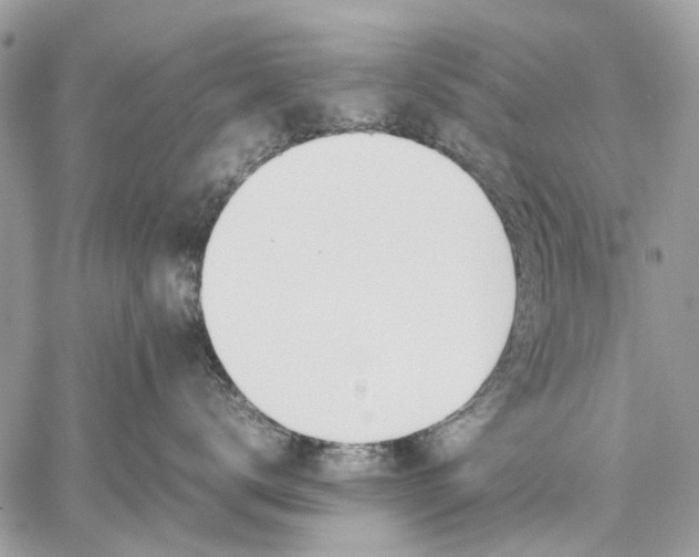 X0000059090672200510211608
