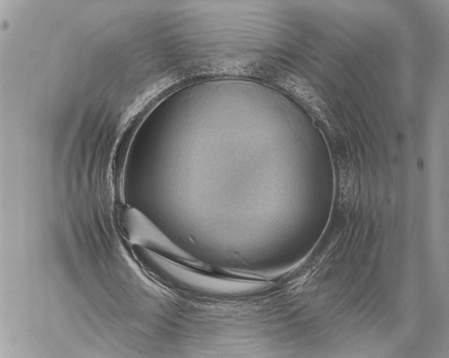 X0000059090674200510211608
