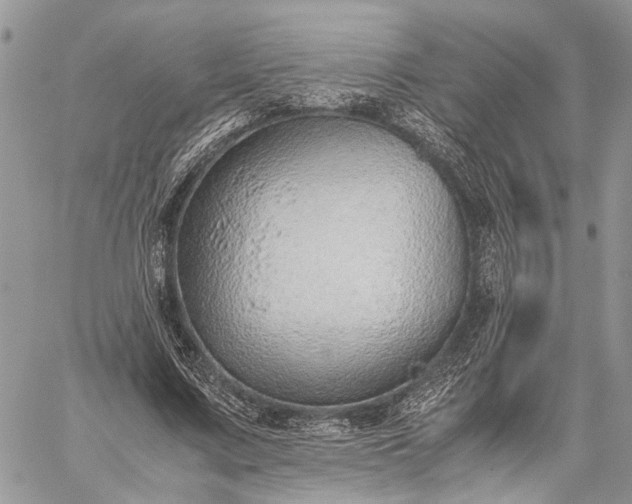 X0000059090683200510211607