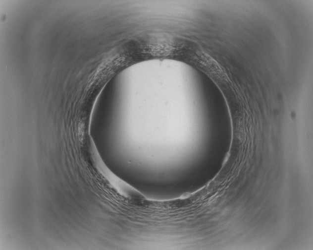 X0000059090697200510211607