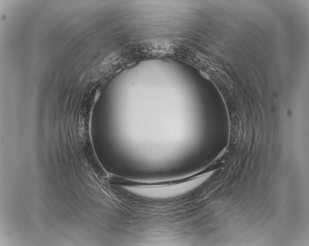 X0000059090704200510211607