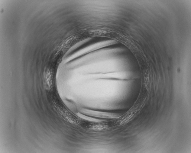 X0000059090708200510211607