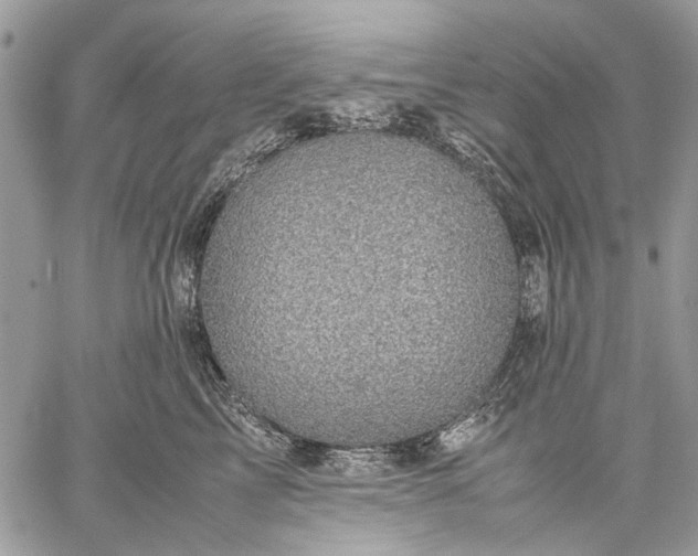 X0000059090713200510211607