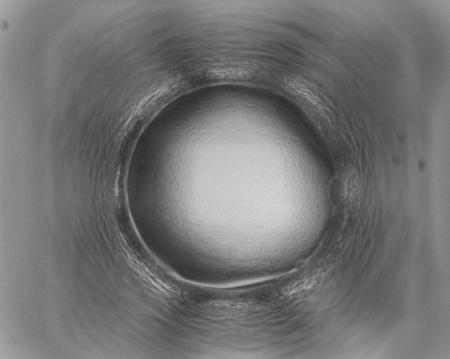 X0000059090733200510211606