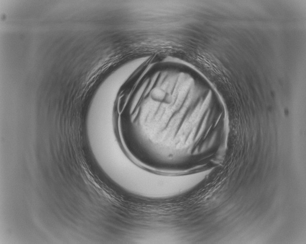 X0000059090744200510211606