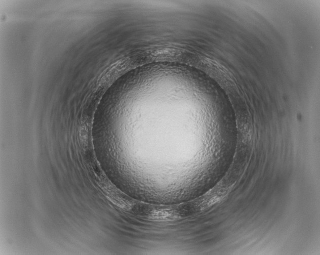 X0000059090753200510211607