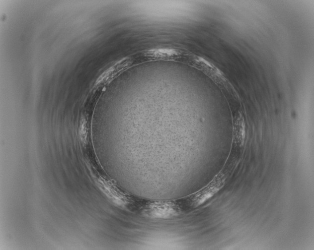 X0000059090762200510211607
