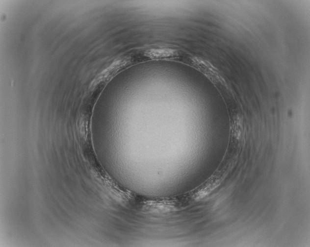X0000059090763200510211607