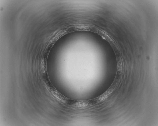 X0000059090764200510211607