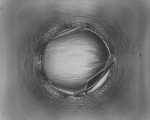 X0000059090771200510211606
