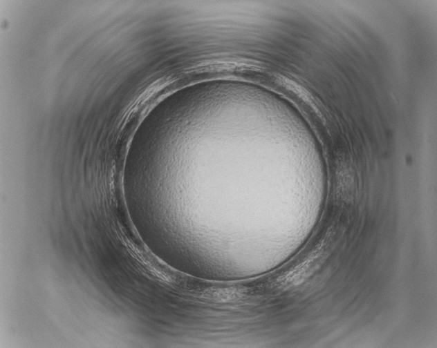 X0000059090778200510211606