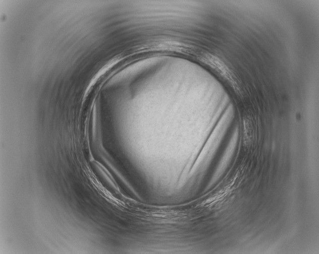 X0000059090780200510211606