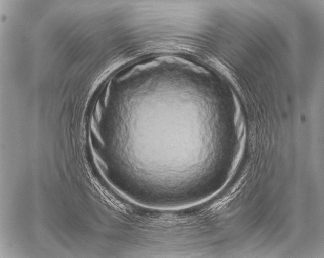 X0000059090787200510211606