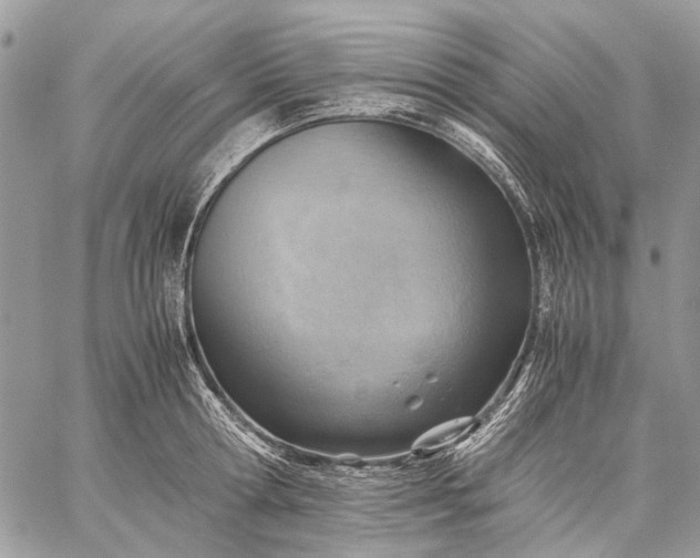 X0000059090802200510211605