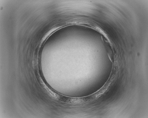 X0000059090803200510211605