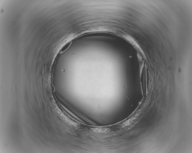 X0000059090805200510211605