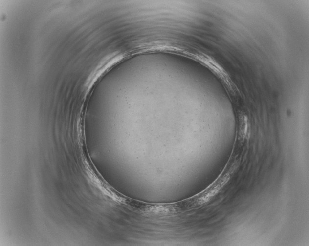 X0000059090806200510211605