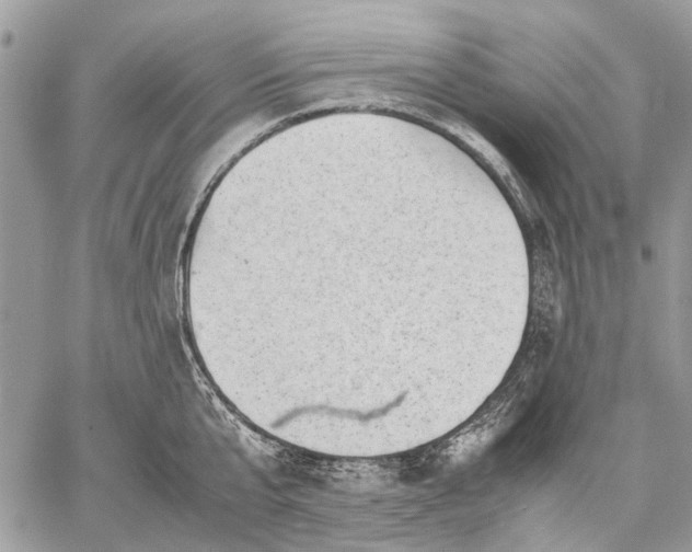 X0000059090807200510211605