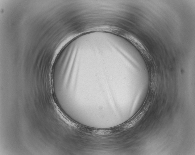 X0000059090808200510211605