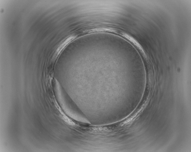 X0000059090809200510211605