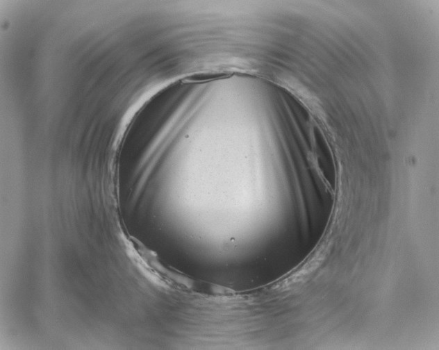 X0000059090816200510211605