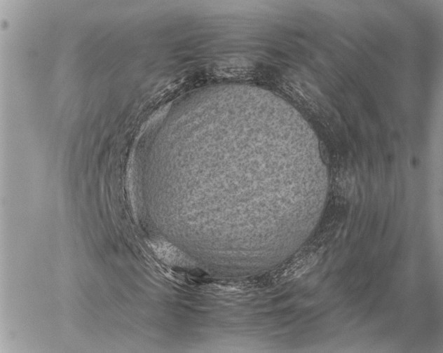 X0000059090817200510211604