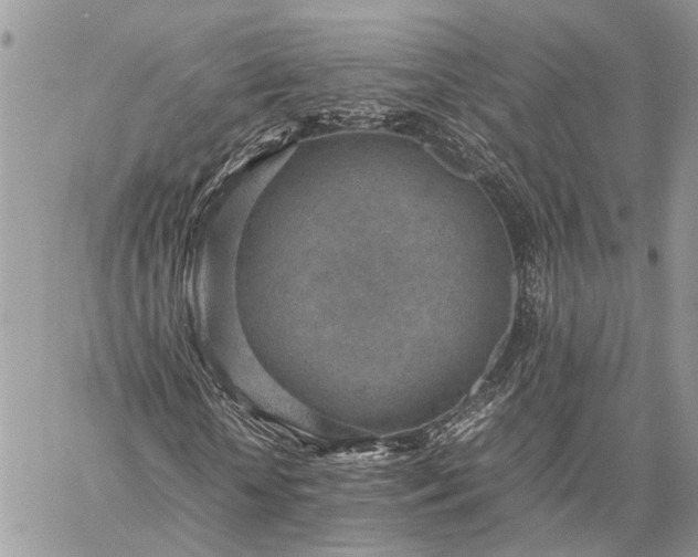 X0000059090818200510211604