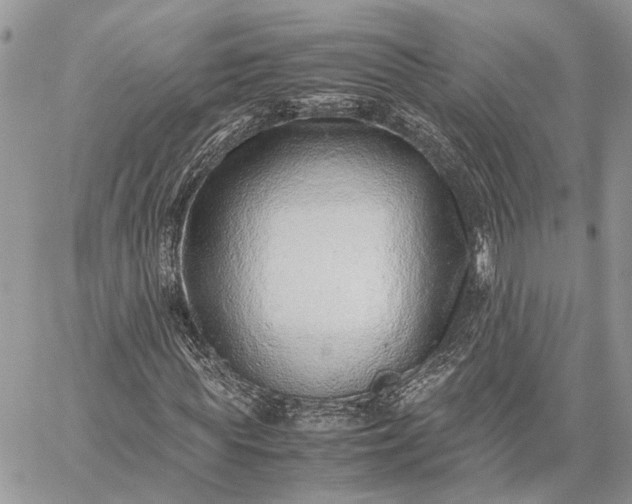 X0000059090819200510211604