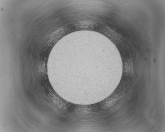 X0000059090820200510211604