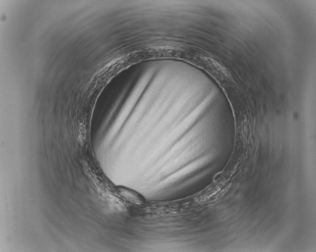 X0000059090821200510211604