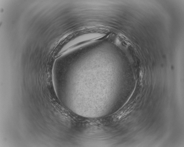 X0000059090822200510211605