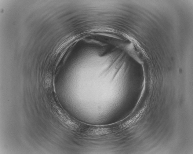 X0000059090833200510211605