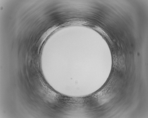 X0000059090836200510211605