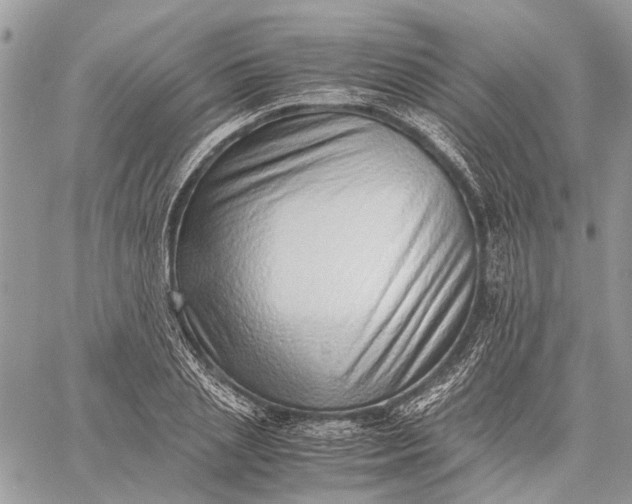 X0000059090837200510211605
