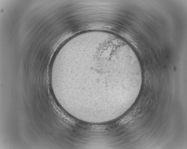 X0000059090848200510211605