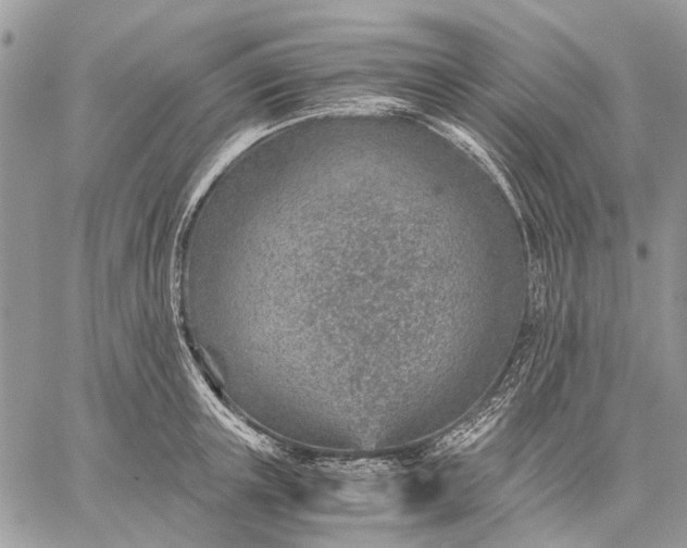 X0000059090851200510211605