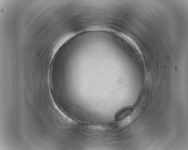 X0000059090855200510211605