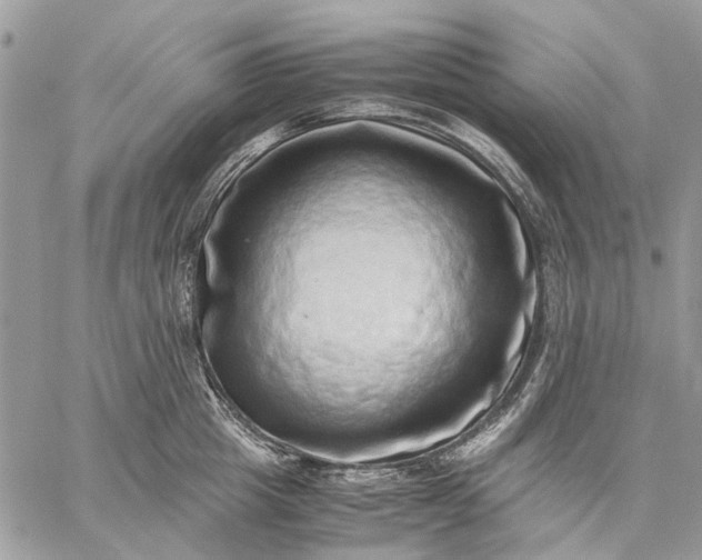 X0000059090857200510211605