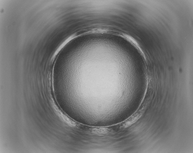 X0000059090859200510211605