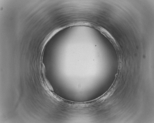 X0000059090860200510211605