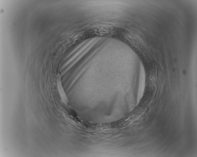 X0000059090865200510211604