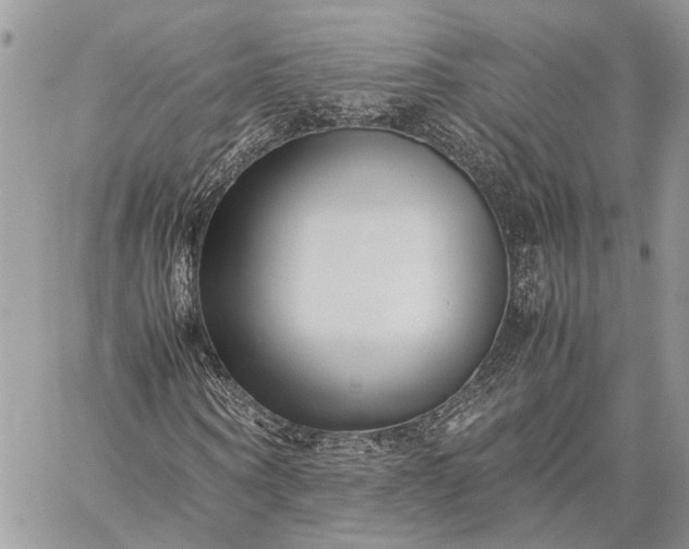 X0000059090866200510211604