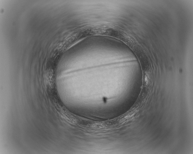 X0000059090867200510211604