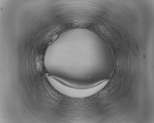 X0000059090868200510211604